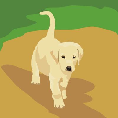 Éliminez les odeurs d'animaux et rafraîchissez votre Éliminez les odeurs d'animaux et rafraîchissez votre