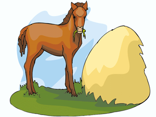 Vinegar for Horse Colic