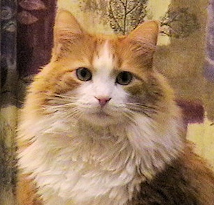 Dusty Rusty Pumpkin Head