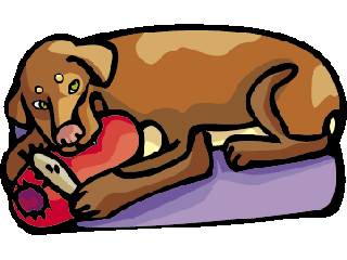 gros chien brun dans panier