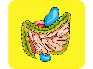 Parasites intestinaux