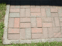 Top 15 Will apple cider vinegar kill weeds 4 Vinegar for Killing Weeds