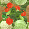 légumes légumes