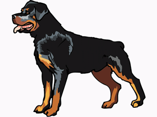 How Much Apple Cider Vinegar To Give Dog How Much Apple Cider Vinegar To Give Dog