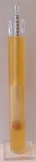 specific gravity test Specific Gravity Test