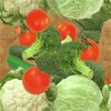 légumes légumes